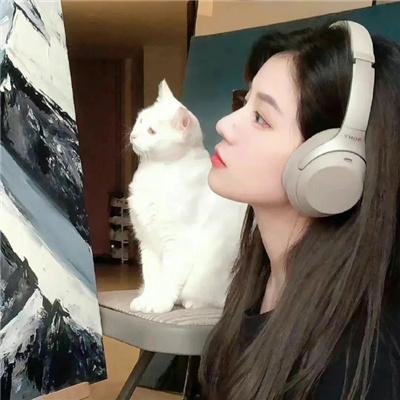 弱者的理由